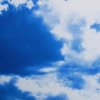 medium_378