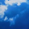 medium_382